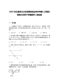 2025年云南省文山壮族苗族自治州中考第二次模拟预测九年级下学期数学二模试题（含答案解析）