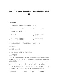 2025年上海市金山区中考九年级下学期数学二模试卷（含答案解析）