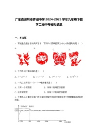广东省深圳市罗湖中学2024-2025学年九年级下数学二模中考模拟试题（含答案解析）