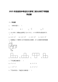2025年安徽省中考名校大联考二模九年级下学期数学试卷（含答案解析）