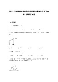 2025年陕西省咸阳市乾县峰阳初级中学九年级下中考二模数学试题（含答案解析）