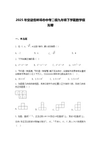 2025年安徽省蚌埠市中考二模九年级下学期数学模拟卷（含答案解析）