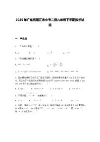 2025年广东省阳江市中考二模九年级下学期数学试题（含答案解析）