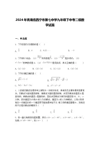 2024年青海省西宁市第七中学九年级下中考二模数学试题（含答案解析）