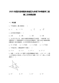 2025年四川省绵阳市涪城区九年级下中考数学二模第二次诊断试卷（含答案解析）