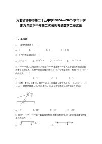 河北省邯郸市第二十五中学2024—2025学年下学期九年级下中考第二次模拟考试数学二模试题（含答案解析）