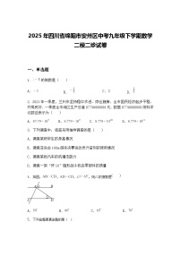 2025年四川省绵阳市安州区中考九年级下学期数学二模二诊试卷（含答案解析）