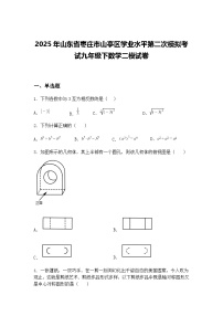 2025年山东省枣庄市山亭区学业水平第二次模拟考试九年级下数学二模试卷（含答案解析）