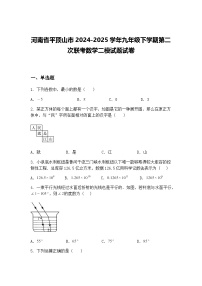 河南省平顶山市2024-2025学年九年级下学期第二次联考数学二模试题试卷（含答案解析）