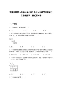 河南省平顶山市2024-2025学年九年级下学期第二次联考数学二模试题试卷（含答案解析）