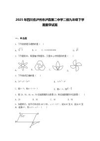 2025年四川省泸州市泸县第二中学二模九年级下学期数学试题（含答案解析）