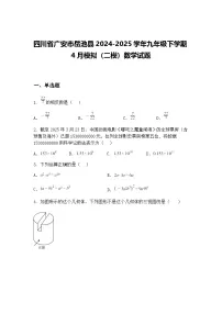 四川省广安市岳池县2024-2025学年九年级下学期4月模拟（二模）数学试题（含答案解析）