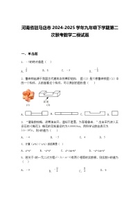 河南省驻马店市2024-2025学年九年级下学期第二次联考数学二模试题（含答案解析）