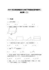 2025年甘肃省陇南市九年级下学期模拟联考数学二模试卷（二）（含答案解析）