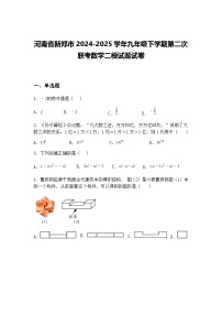河南省新郑市2024-2025学年九年级下学期第二次联考数学二模试题试卷（含答案解析）