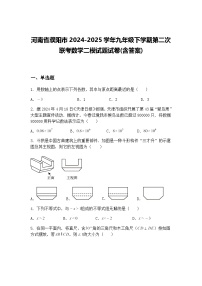河南省濮阳市2024-2025学年九年级下学期第二次联考数学二模试题试卷(含答案)（含答案解析）