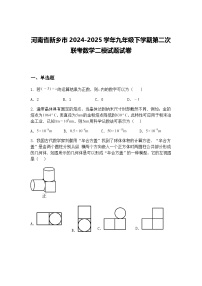 河南省新乡市2024-2025学年九年级下学期第二次联考数学二模试题试卷（含答案解析）