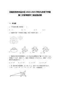 河南省郑州市金水区2024-2025学年九年级下学期第二次联考数学二模试题试卷（含答案解析）