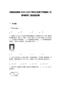 河南省安阳市2024-2025学年九年级下学期第二次联考数学二模试题试卷（含答案解析）