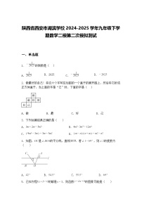 陕西省西安市湖滨学校2024-2025学年九年级下学期数学二模第二次模拟测试（含答案解析）