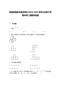 陕西省西安市滨河学校2024-2025学年九年级下学期中考二模数学试题（含答案解析）
