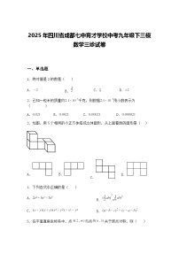 2025年四川省成都七中育才学校中考九年级下三模数学三诊试卷（含答案解析）