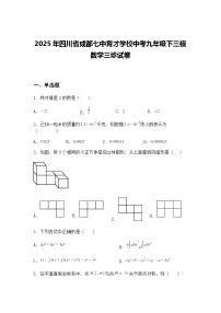 2025年四川省成都七中育才学校中考九年级下三模数学三诊试卷（含答案解析）
