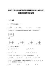 2025年四川省成都市武侯区西川实验学校中考九年级下三模数学三诊试卷（含答案解析）