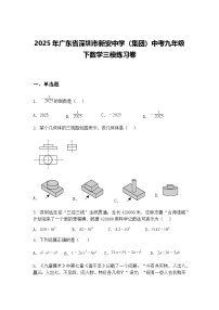 2025年广东省深圳市新安中学（集团）中考九年级下数学三模练习卷（含答案解析）