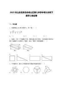 2025年山东省青岛市崂山区第七中学中考九年级下数学三模试卷（含答案解析）