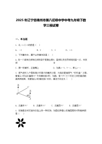2025年辽宁省锦州市第八初级中学中考九年级下数学三模试卷（含答案解析）