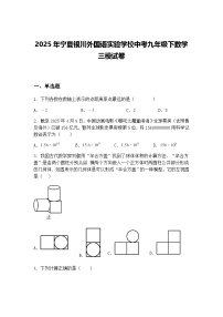 2025年宁夏银川外国语实验学校中考九年级下数学三模试卷（含答案解析）