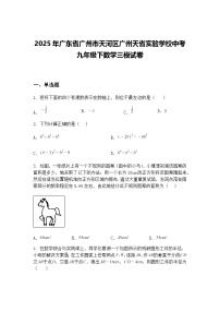 2025年广东省广州市天河区广州天省实验学校中考九年级下数学三模试卷（含答案解析）