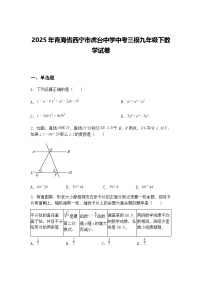 2025年青海省西宁市虎台中学中考三模九年级下数学试卷（含答案解析）