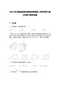 2025年江西省宜春市樟树市樟树第二中学中考三模九年级下数学试题（含答案解析）