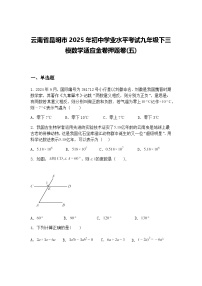 云南省昆明市2025年初中学业水平考试九年级下三模数学适应金卷押题卷(五)（含答案解析）