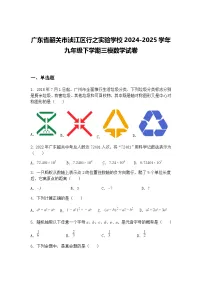 广东省韶关市浈江区行之实验学校2024-2025学年九年级下学期三模数学试卷（含答案解析）
