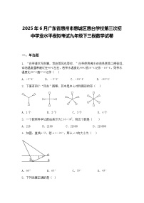 2025年6月广东省惠州市惠城区惠台学校第三次初中学业水平模拟考试九年级下三模数学试卷（含答案解析）