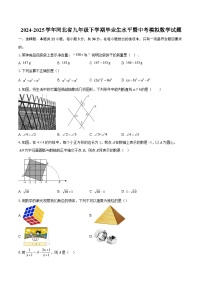 2024-2025学年河北省九年级下学期毕业生水平暨中考模拟数学试题-自定义类型