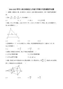 2024-2025学年上海市青浦区九年级下学期中考四模数学试题-自定义类型
