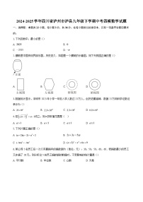 2024-2025学年四川省泸州市泸县九年级下学期中考四模数学试题-自定义类型