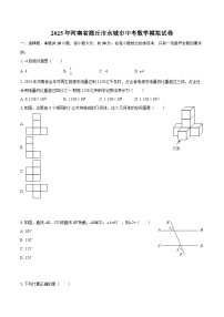 2025年河南省商丘市永城市中考数学模拟试卷-自定义类型