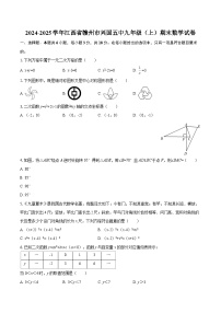 2024-2025学年江西省赣州市兴国五中九年级（上）期末数学试卷-自定义类型