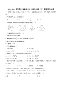 2024-2025学年四川省德阳市中江县九年级（上）期末数学试卷-自定义类型 (1)