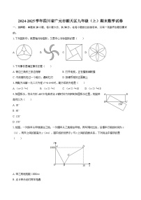 2024-2025学年四川省广元市朝天区九年级（上）期末数学试卷-自定义类型