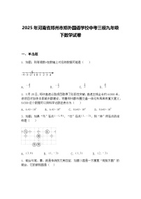 2025年河南省郑州市郑外国语学校中考三模九年级下数学试卷（含答案解析）