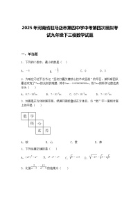 2025年河南省驻马店市第四中学中考第四次模拟考试九年级下三模数学试题（含答案解析）