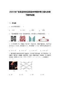 2025年广东省深圳市深实验中学部中考三模九年级下数学试题（含答案解析）