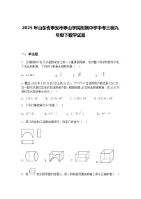 2025年山东省泰安市泰山学院附属中学中考三模九年级下数学试题（含答案解析）