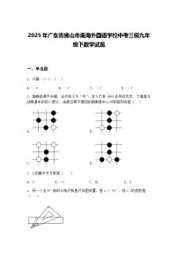 2025年广东省佛山市南海外国语学校中考三模九年级下数学试题（含答案解析）